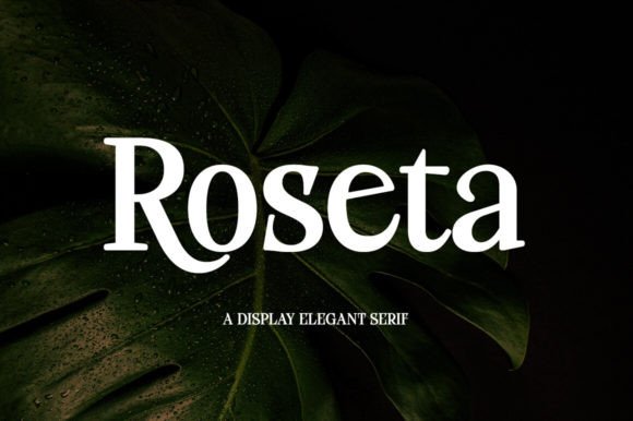 Roseta: A Luxury Serif Display Font for Editorial Design